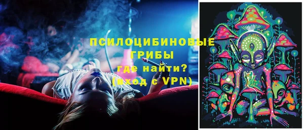 гашик Волосово