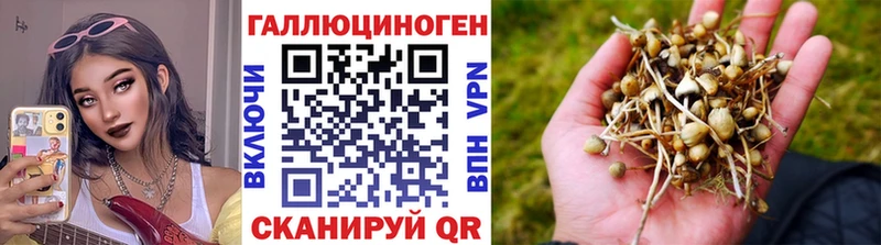 закладка  Аткарск  Галлюциногенные грибы ЛСД 